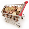 WebGenie Shopping Cart Professional