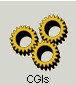 CGI - Not active in this demo. Specify the parameters for the CGI to be resided on your server.